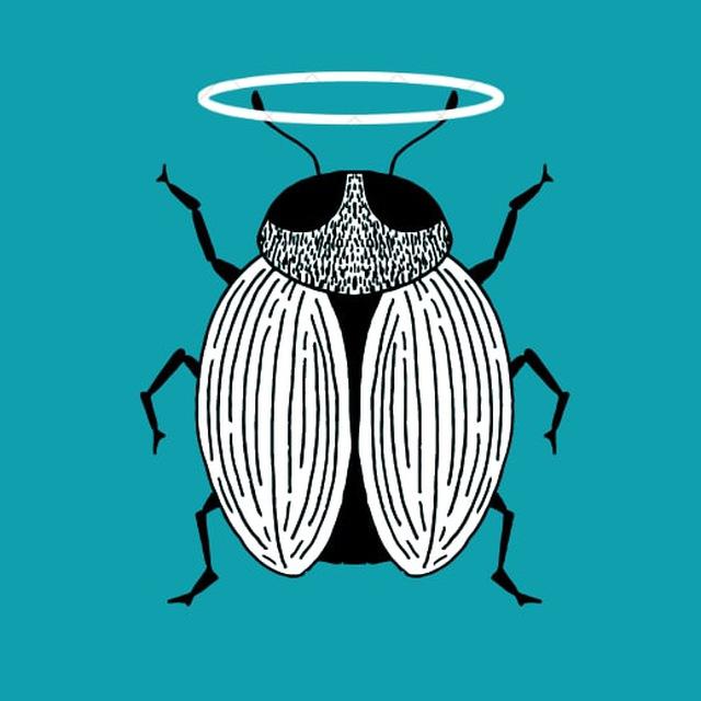 🐞Библиотека QA