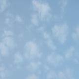dxxdly. ✨