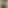 Blur