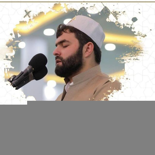 Peshawa Al Kurdi Mp3
