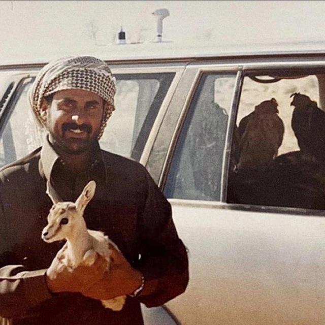 الطـلّا