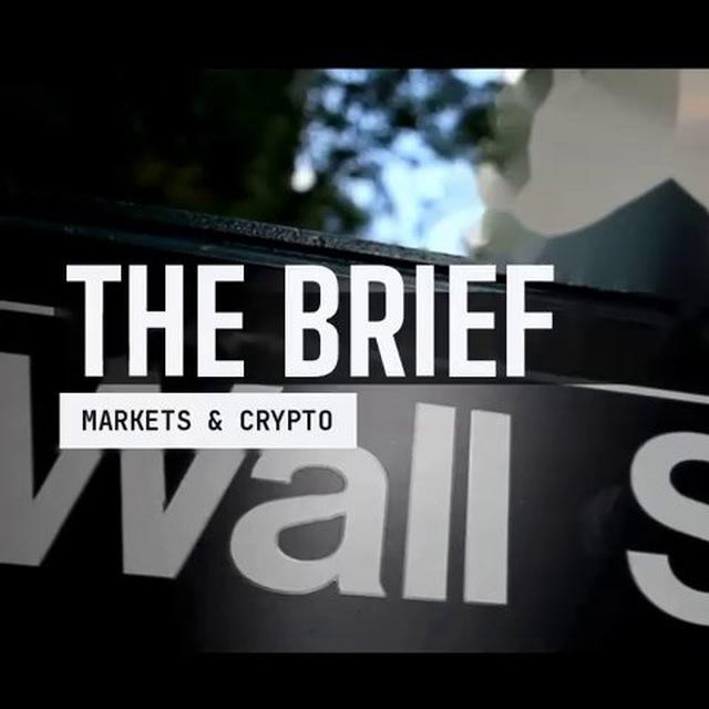THE BRIEF