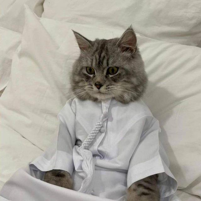 صور ستريك