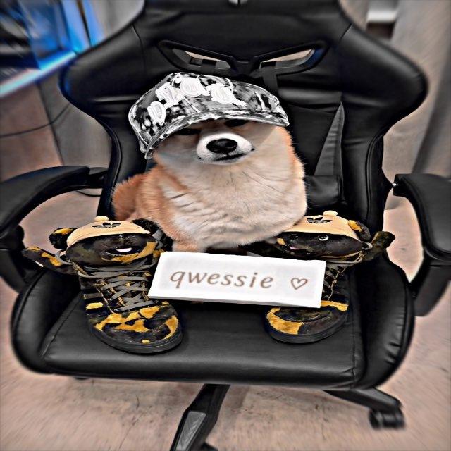 -qwessie?