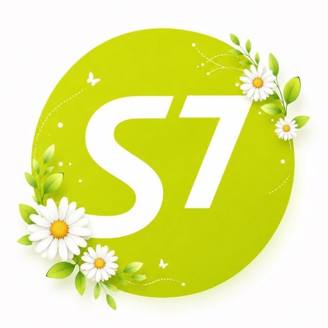 S7 Airlines Roblox