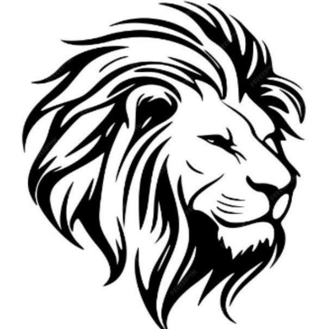 De Bataafse Leeuw ❤️ Lions News