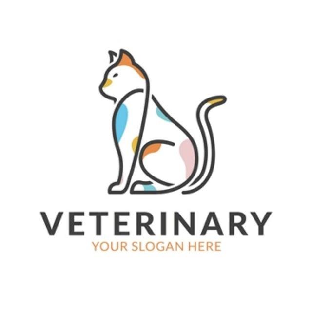 🐾Vet News🐾