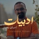 فارسی احسان محسنی