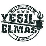 Yeşil Elmas Tohum Bankası Telegram Kanalı 🌱🔞