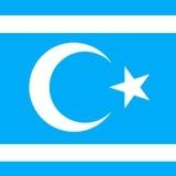 Türkmen eğitimi