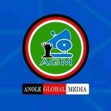 AGM(Anole Global Media)