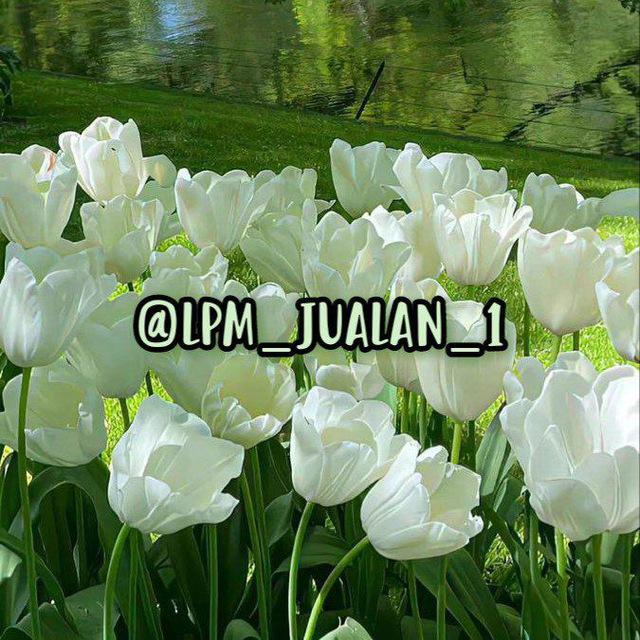 LPM JUALAN