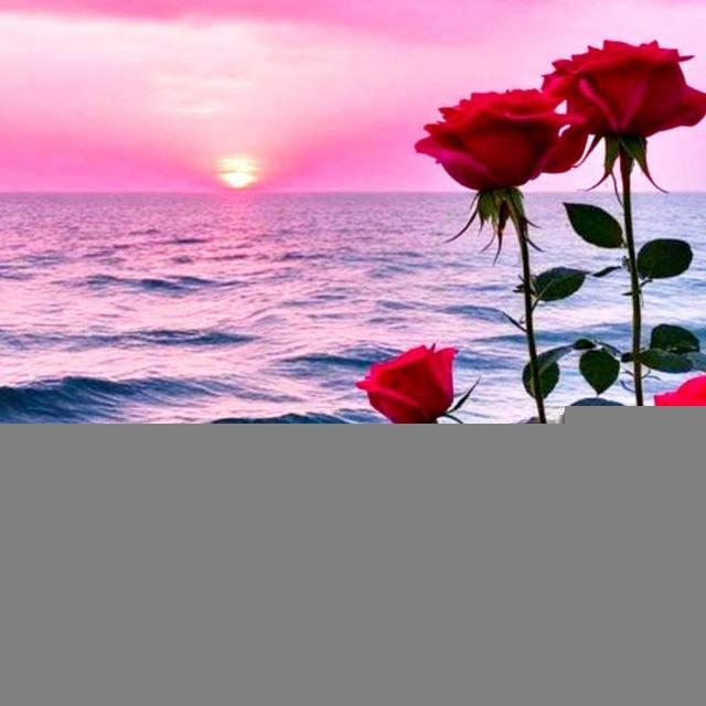 ؏ـالمٌ يـزهر بالكلمـات