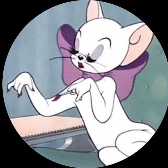 ✨سيـن✨