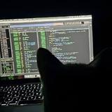 Cybersecurity Kittens