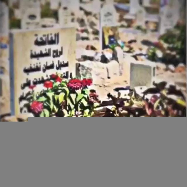 الشهيده سديل نغنغيه💔