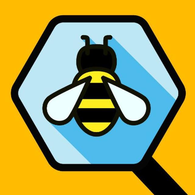 Bee Clever