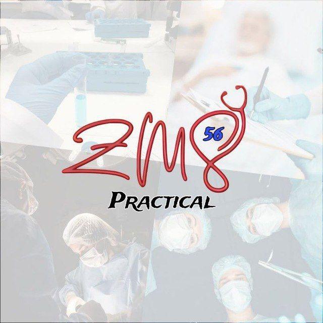𝐙𝐌𝐒 𝟓𝟔 | Practical