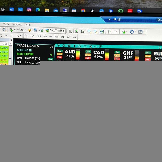 Legend Pro Trader Channel