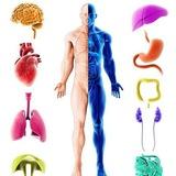 فسلجــة (نظري)🧪