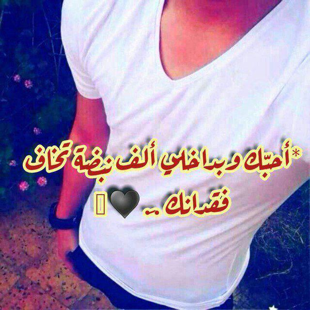 أجمل قصائد الحب