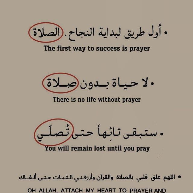 خ ـوآطـر هآدئة🤍