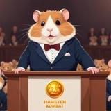 hamster kombat همستر کامبت