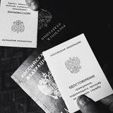 Мембрана