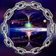 The Vortex PLANE-T Torus stationary eart(H)eart