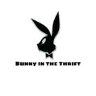 Bunny in the Thrift