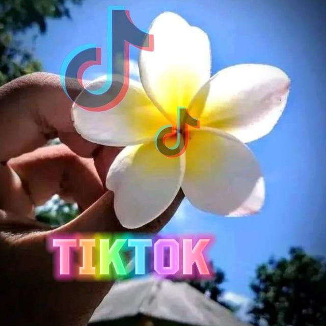 Tiktok free like group😍