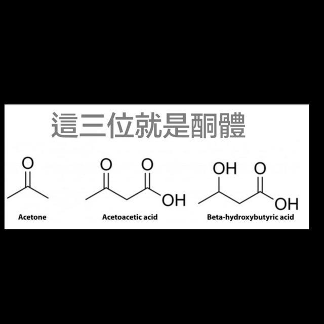 酮體的秘密