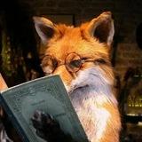 хвост золотого солнца 🦊