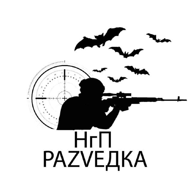 НгП Z Chat