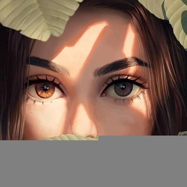 『 ﮼ آلولآية﮼آلحـربــآء ﮼²⁰⁰⁰ 』