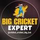Big cricket expert 🏏