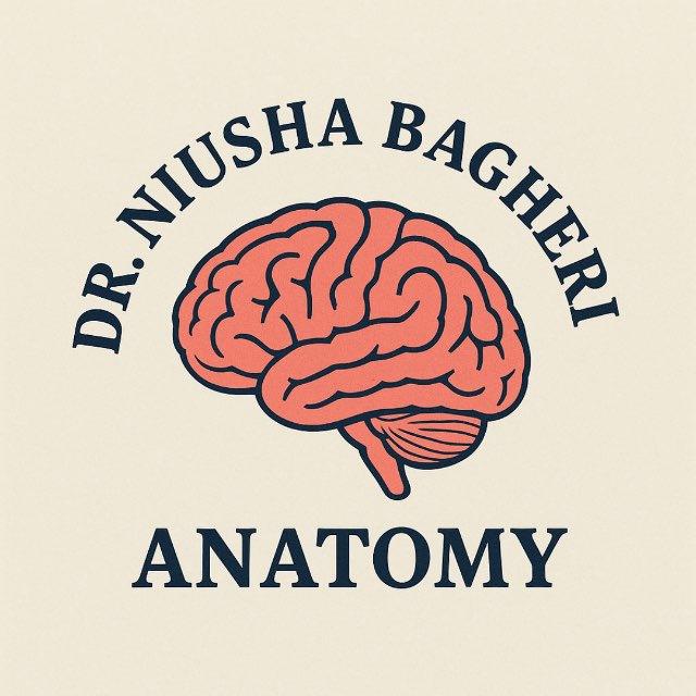 🧠آموزش آناتومی دکتر باقری🧠