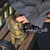 الأمانّ المُختَصر .