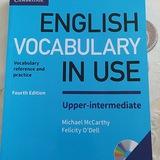 English vocabulary in use ( upper - intermediate )