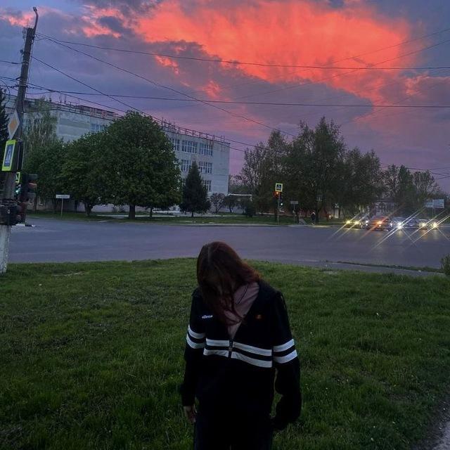свободу попугаю