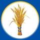 Prosperity Party A.A - ብልፅግና