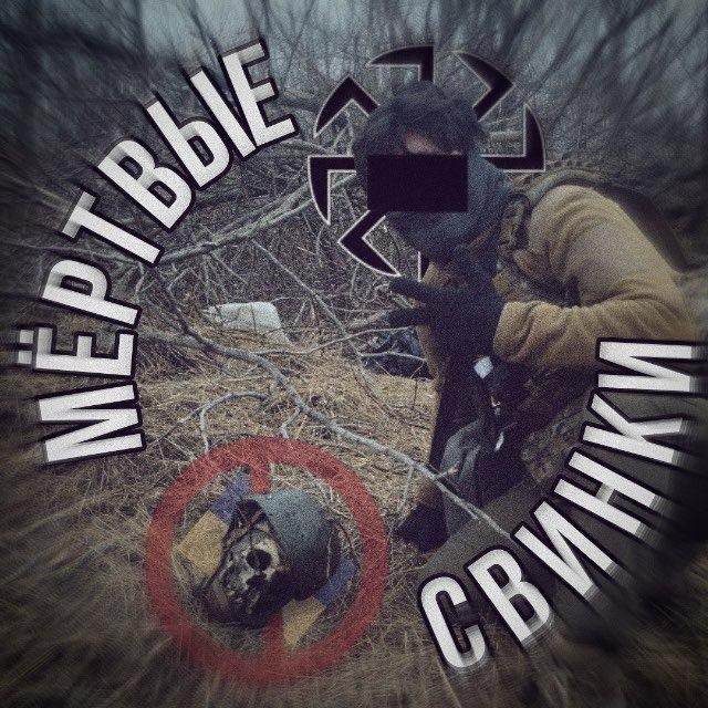 переходник | мертвые свинки 🇺🇦🐷