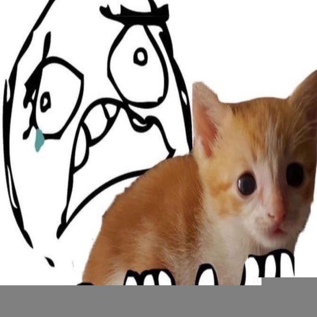 юрик
