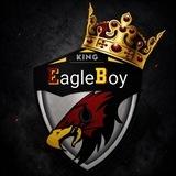 EagleBoy Official