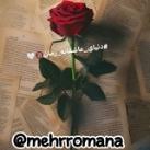🤍🎄فری رمان | fery_roman🎄🤍