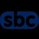 SBC - system group🀄️