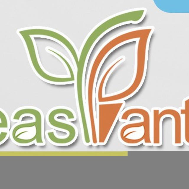 Easy.Plants Aqua آموزش و گسترش آکواریوم های پلنت و گیاهان آبزی