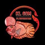 FLOWERHORN Community🇰🇭