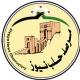 مرصد حلب نيوز