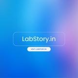 Insta millionaire full story (LabStory.in)